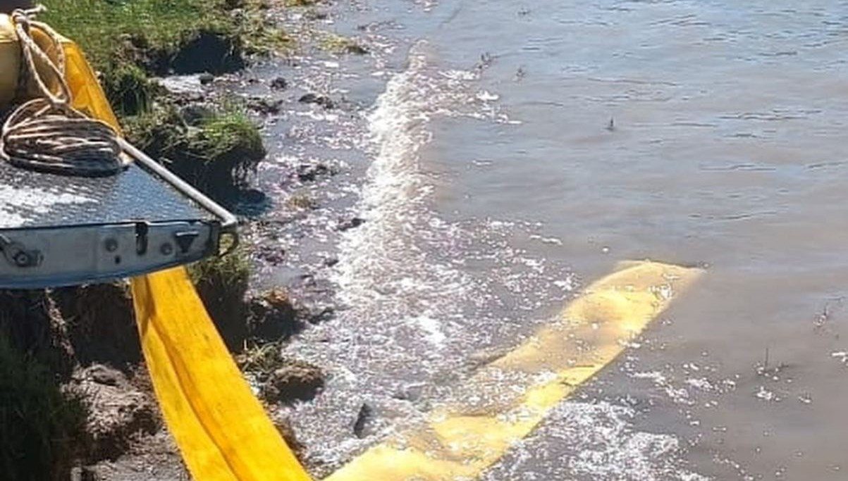 goletlere yavru baliklar birakildi fx6BniCh