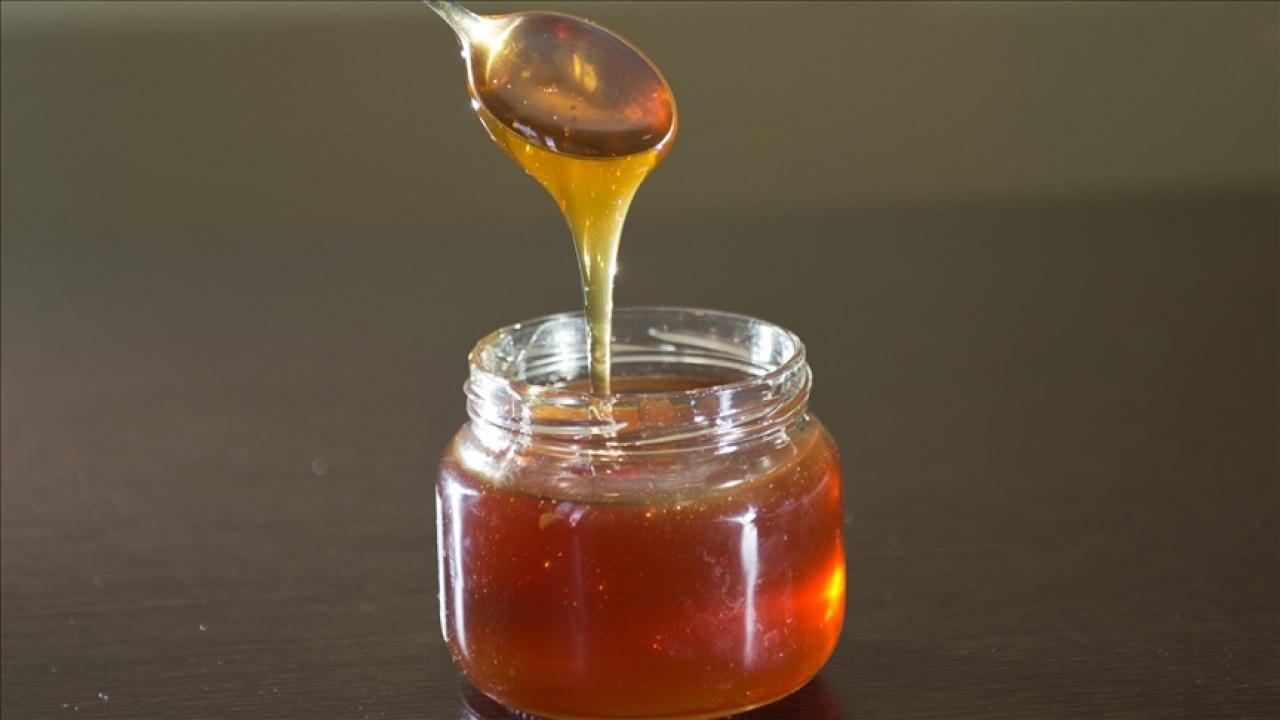 bal ihracati 17 milyon dolari asti FnASWPxB.jpg