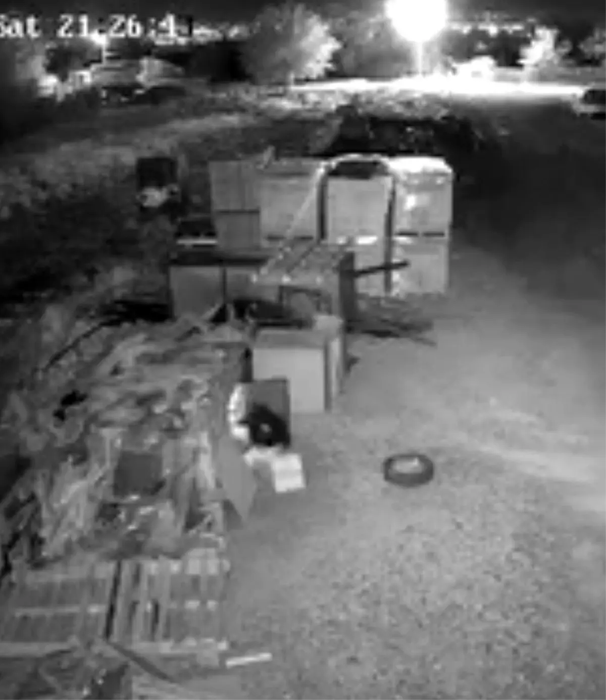 elazigda guvercin hirsizligi guvenlik kamerasinda K1hS6d4p.jpg