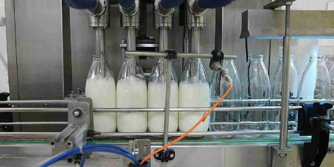 toplanan inek sutu miktari agustosta dustu BTqSjyru.jpg